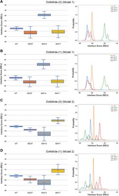 Structural modeling of the hERG potassium channel and associated drug interactions